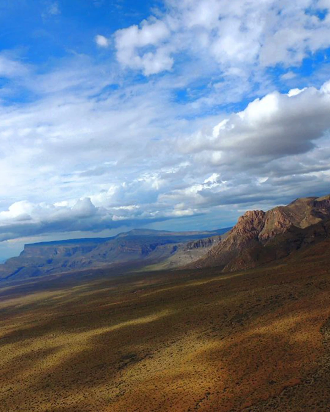 landscape at El Carmen Nature Reserve.