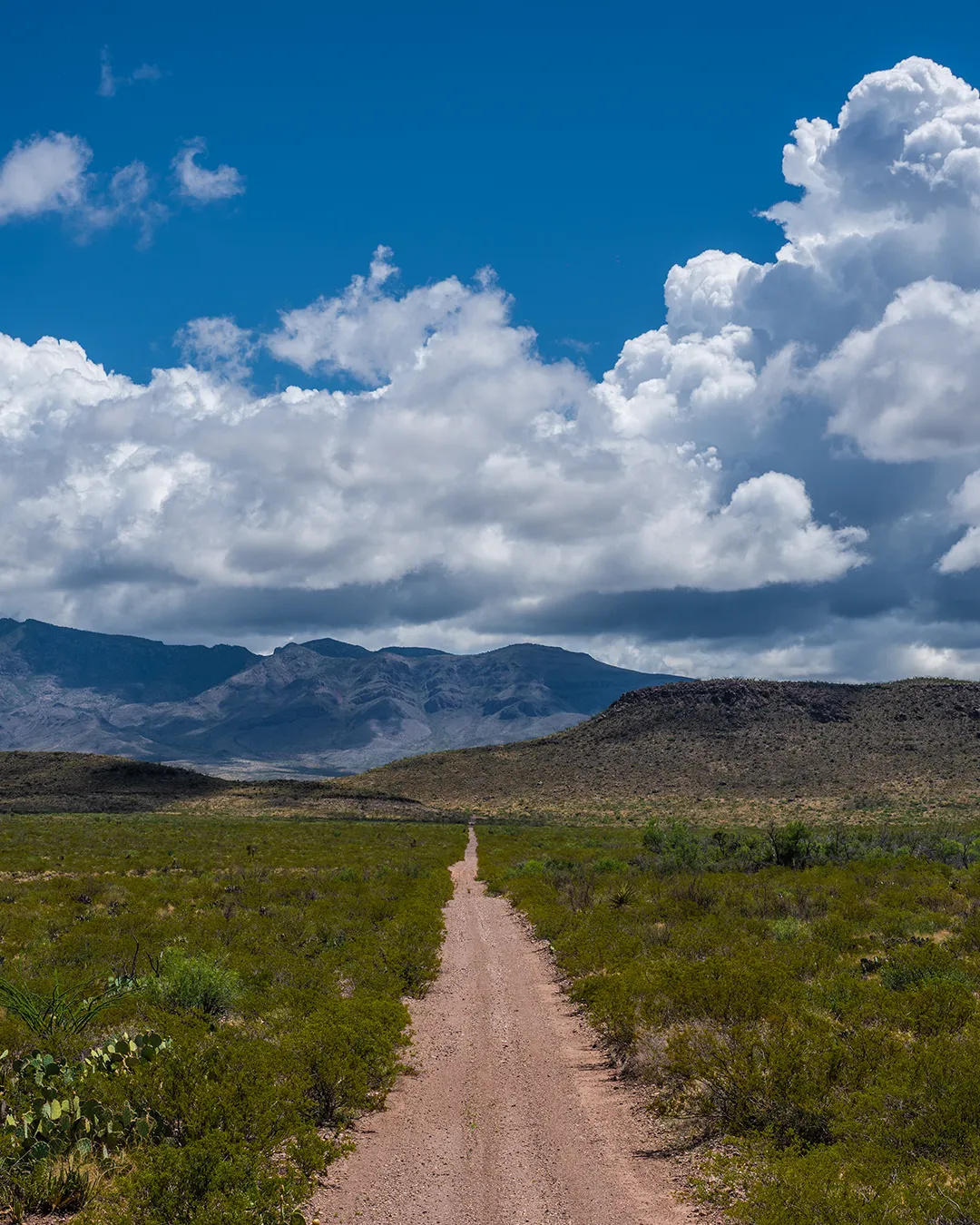 El carmen conservation, biodiversity, project launch