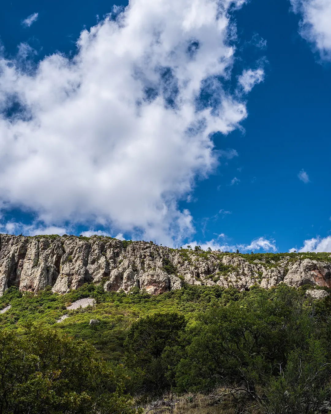 Landscape at El Carmen Nature Reserve