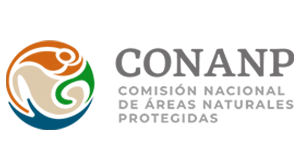 Logo of the National Commission of Natural Protected Areas - CONANP.