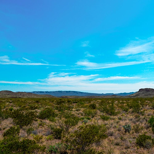 A photograph of the landscape at El Carmen Nature Reserve